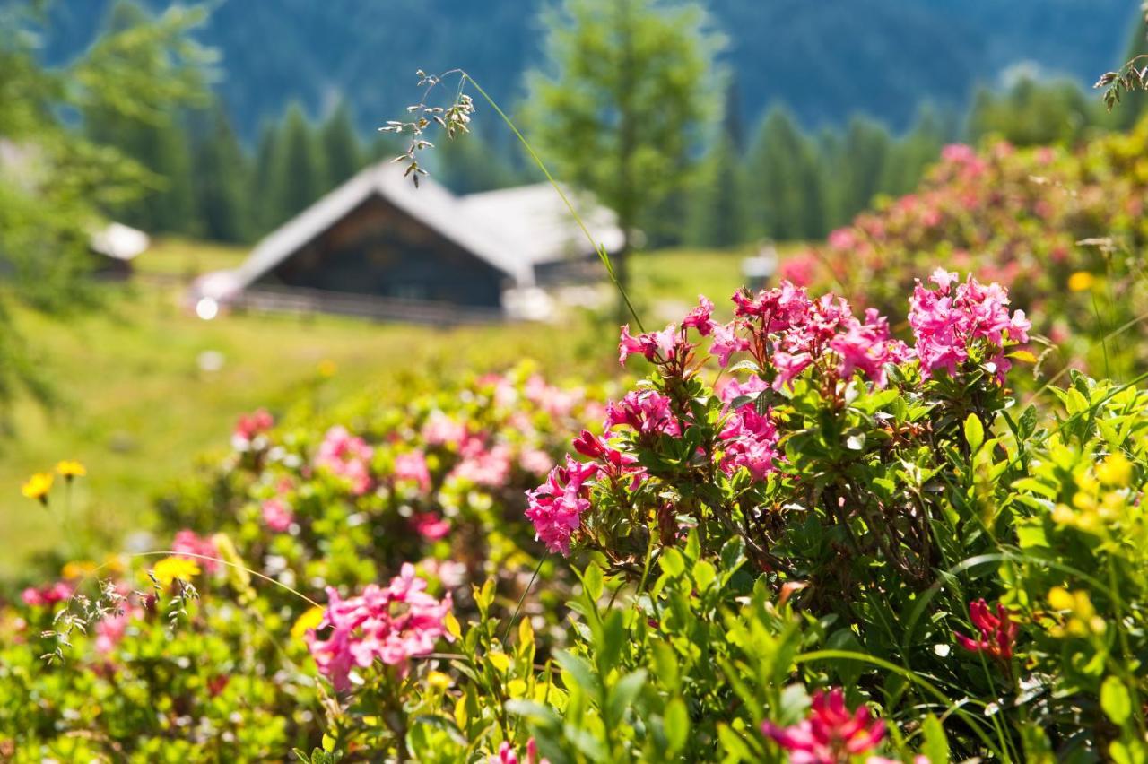 Landhaus Steiner Altenmarkt im Pongau Kültér fotó