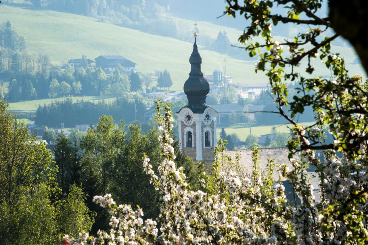 Landhaus Steiner Altenmarkt im Pongau Kültér fotó